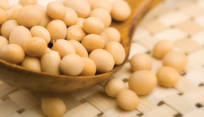 �ŵ�88(�й���)�ٷ���վ