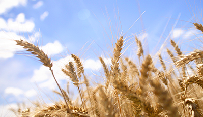 �ŵ�88(�й���)�ٷ���վ