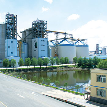 �ŵ�88(�й���)�ٷ���վ