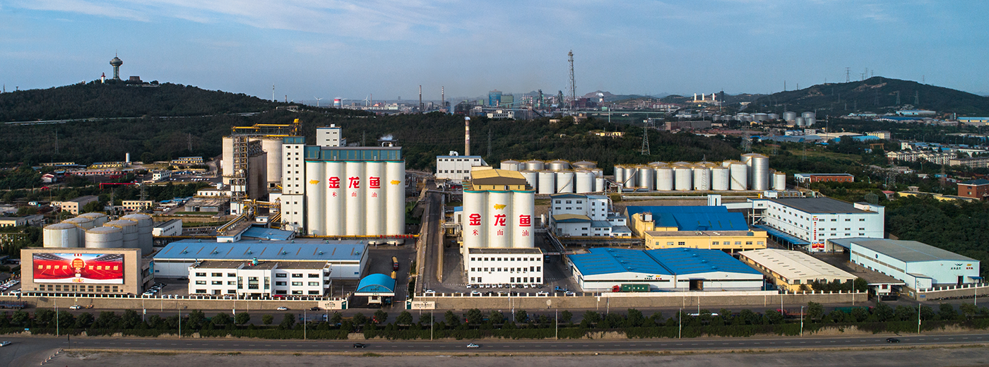 �ŵ�88(�й���)�ٷ���վ