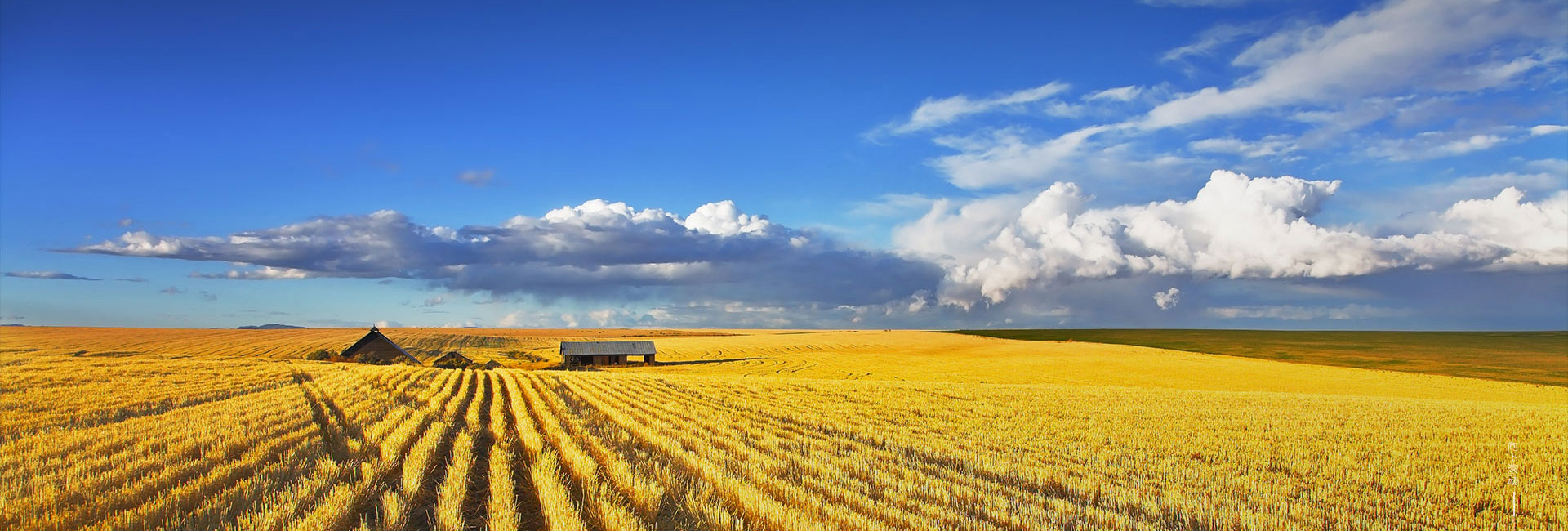 �ŵ�88(�й���)�ٷ���վ