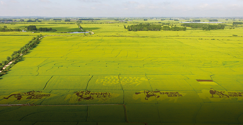 �ŵ�88(�й���)�ٷ���վ