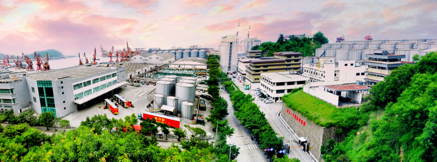 �ŵ�88(�й���)�ٷ���վ