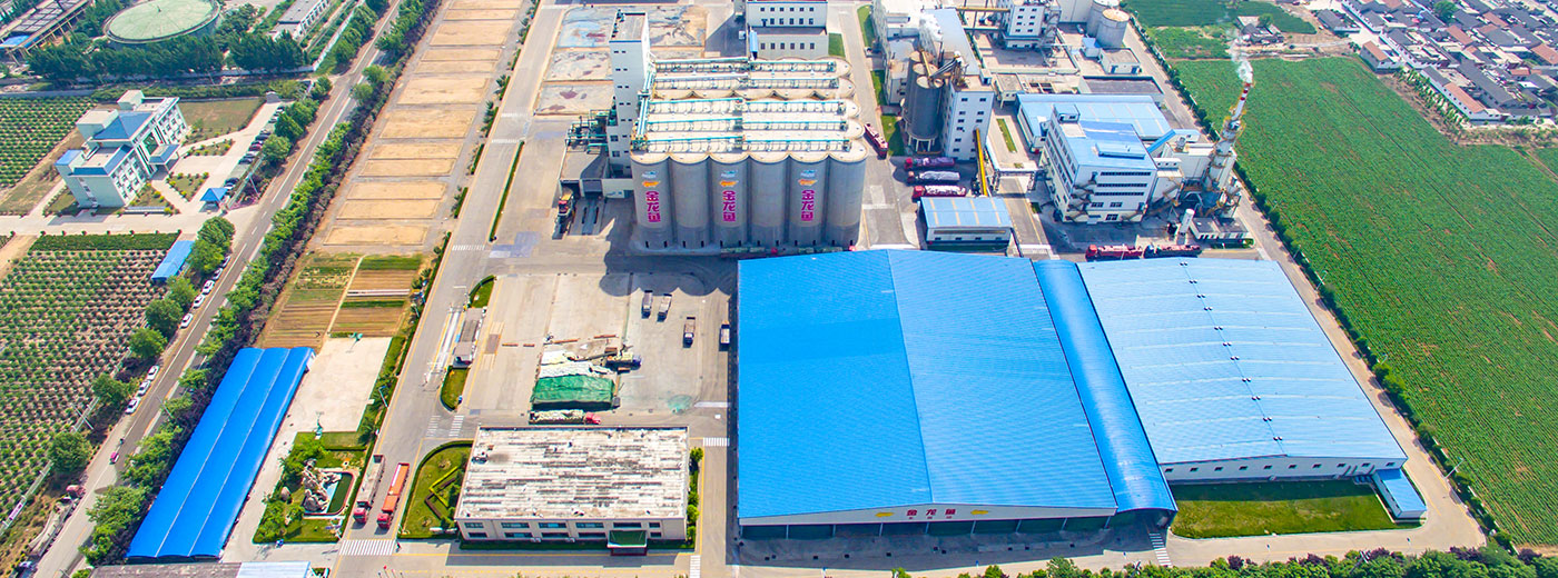 �ŵ�88(�й���)�ٷ���վ