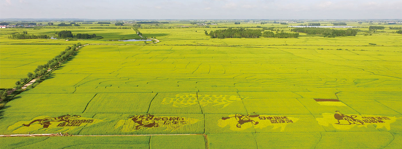 �ŵ�88(�й���)�ٷ���վ