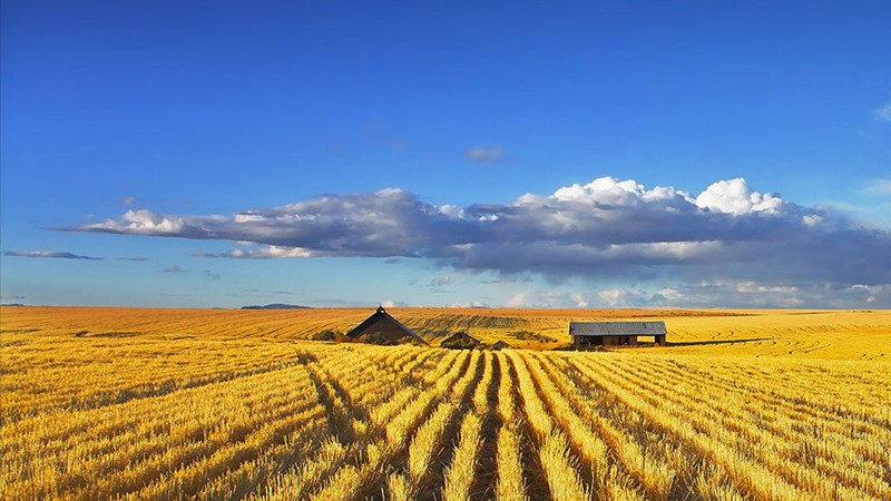 �ŵ�88(�й���)�ٷ���վ