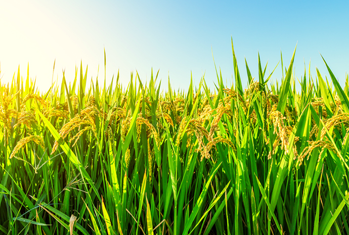 �ŵ�88(�й���)�ٷ���վ