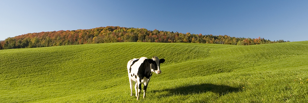 �ŵ�88(�й���)�ٷ���վ